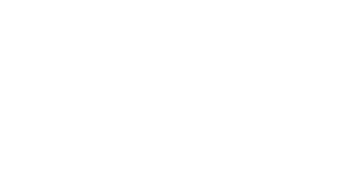 Dent Recruit