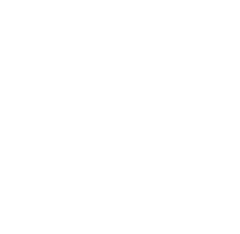 Wow Cacao